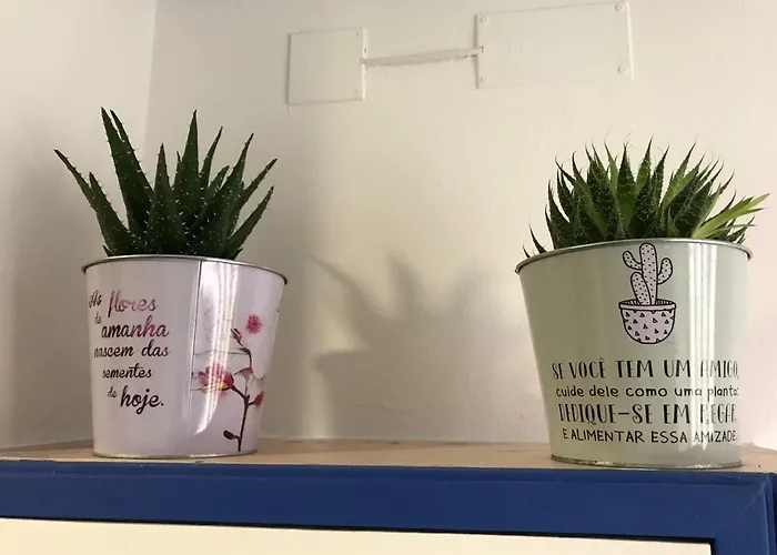 Casa Da Mariquinhas Appartement